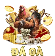 Hình ảnh sự kiện đặc biệt và giải đấu tại 23win01